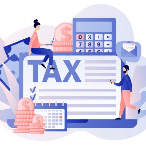 Max Accountancy Company Tax Returns