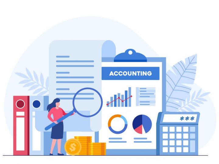 accounting or finance concept, business plan and budget, analyst, flat illustration vector template